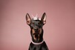 Headshot portrait photography of a smiling doberman pinscher wearing a princess crown against a warm taupe background. With generative AI technology