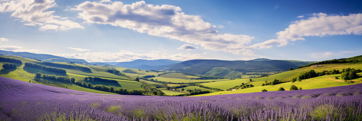 rolling hills of lavender, buzzing bees, soft focus, expansive landscape, dreamy clouds, peaceful an