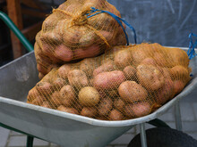 Large Sacks Of Potatoes In A Wheelbarrow