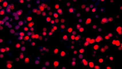 Wall Mural - Abstract Christmas Valentines Red Pink Bokeh Lights Background Loop
