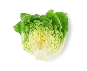 Wall Mural - Fresh Boston lettuce on white background