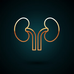 Canvas Print - Gold line Human kidneys icon isolated on dark blue background. Vector