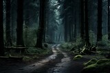 Fototapeta Natura - Spooky forest path surrounded by dense foliage and creepy woods. Generative AI