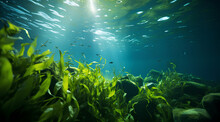 Underwater View Of A Group Of Seabed With Green Seagrass. High Quality Photo