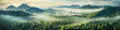 Tropical rainforest, lush and misty, early morning, landscape panorama, aerial view