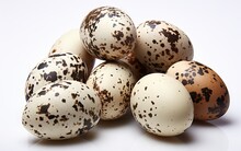 Quail Eggs, Isolated On White Background