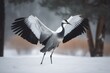A majestic crane bird stretching its wings during the winter season. Generative AI