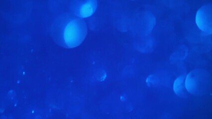 Wall Mural - Blue Bokeh and Particles Motion. Defocused glistering lights floating underwater.