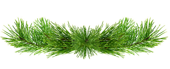 christmas  pine tree branch, xmas holiday evergreen fir or spruce decoration. Web banner template.