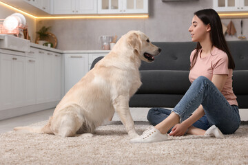 Wall Mural - Woman with cute Labrador Retriever dog on floor at home. Adorable pet