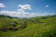 beautiful green hills and sky in Chino Hills State Park, California with wildflowers in foreground