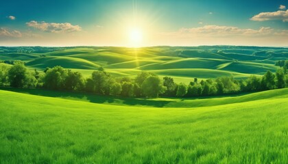 Wall Mural - Green field with grass against blue sky with sun, beautiful panoramic natural landscape, spring summer background