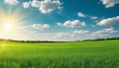 Green field with grass against blue sky with sun, beautiful panoramic natural landscape, spring summer background