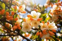 Floral orange blossoms on garden tree. Generative AI