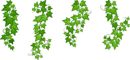 Wall Mural - Vines set. Green leaves ivy. Hanging creeper