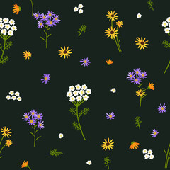 Wall Mural - Vector seamless floral pattern. Wildflowers on a dark background.