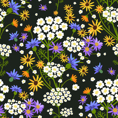 Wall Mural - Vector seamless floral pattern. Wildflowers on a dark background.