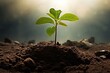 A flourishing sapling symbolizing growth and advancement in fertile soil. Generative AI