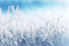 A Winter Wonderland Scene Showcasing A Frosted Grassy Field, Where Delicate Icicles Cling To The Blades Of Grass. The Soft Light From The Window Illuminates The Icy Landscape, Creating