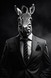 Portrait of a zebra in a suit on a black background