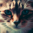 Portrait einer Katze - Katzen-Portrait
