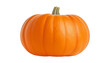 © Papugrat - pumpkin isolated on transparent background cutout