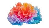 Fototapeta Fototapety do akwarium - colorful coral isolated on transparent background cutout