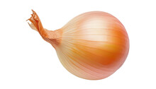 Onion Isolated On Transparent Background Cutout