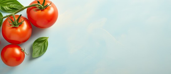 Wall Mural - Using a few words from the original tomato for skin isolated pastel background Copy space