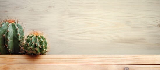 Poster - Observing the petite cactus on the wooden table isolated pastel background Copy space