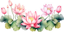Watercolor Lotus Clipart For Graphic Resources. Water Lily Composition