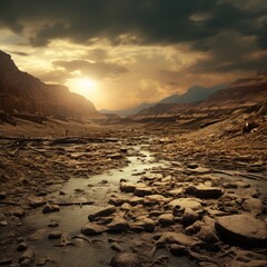 Wall Mural - Dry river with dead trees in the arid areas. Desert landscape with dry bushes and broken ground. Draught period in the African terrain at sunset. Dry river in the desert at sunset. Global worming.