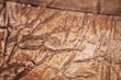 © Taigi - Extreme closeup of crumpled brass foil texture