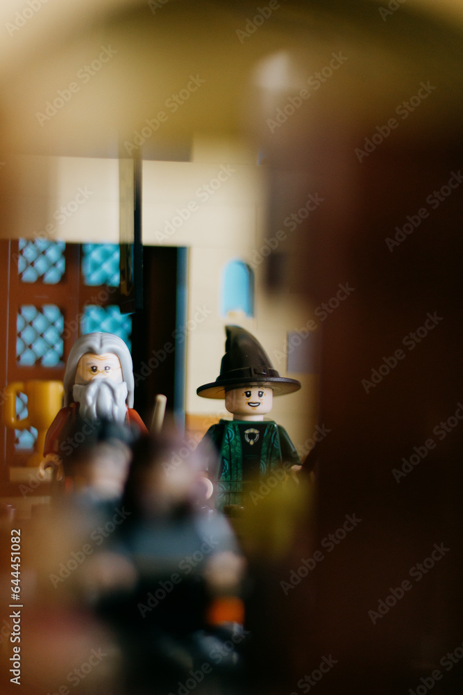 Lot Playmobil Harry Potter - Personnages Draco, Albus, Minerva Avec Baguette Et Potions