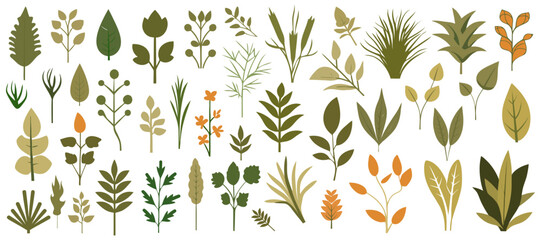 Wall Mural - abstract foliage collection. botanical futuristic elements in flat style isolated on white backgroun