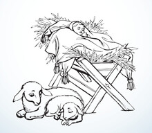 Vector Drawing. Baby In A Manger