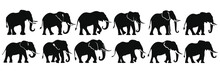 Elephant Africa Safari Silhouettes Set, Large Pack Of Vector Silhouette Design, Isolated White Background