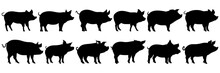 Pig Farm Animal Silhouettes Set, Large Pack Of Vector Silhouette Design, Isolated White Background