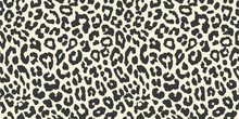  Cheetah Print Background - White Leopard Print Seamless - Seamless Pattern Of White Leopard Skin