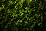 Green vertical garden wall