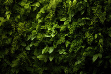 Green Vertical Garden Wall