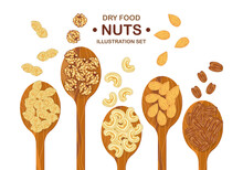 Mix Organic Nuts With Cashews, Almond Nuts, And Pecan Nuts In A Lined Wooden Spoon. The Top View Isolated On A White Background Icon Vector Illustration For The Poster Easy To Fix