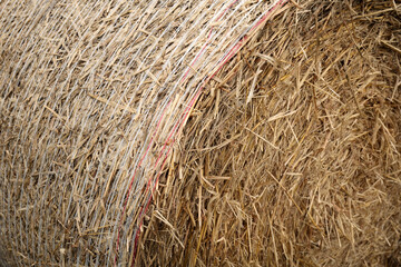 Close up photo of a round straw bale, showing the white and red binding twine used to hold the bale together