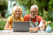 Portrait of happy senior couple using laptop outdoors in their garden