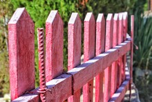 Pink Wooden Fence Goes Into The Distance Against The Background Of Bushes 