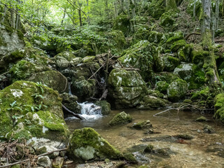 Waterfall  on Cerna valley , in Caras Severin county, near Cerna Sat. 