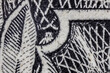 The small spider on the Dollar Bill