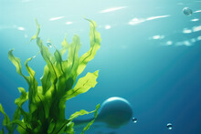 Underwater Scene Featuring Vibrant Plant Surrounded By Bubbles. This Image Can Be Used To Depict Beauty Of Marine Life Or To Create Peaceful And Serene Atmosphere.