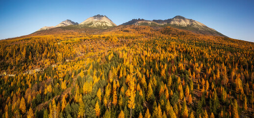 Wall Mural - Autumn forest with yellow trees and mountains