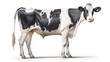 An illustration of a cow standing on a pure white background.
